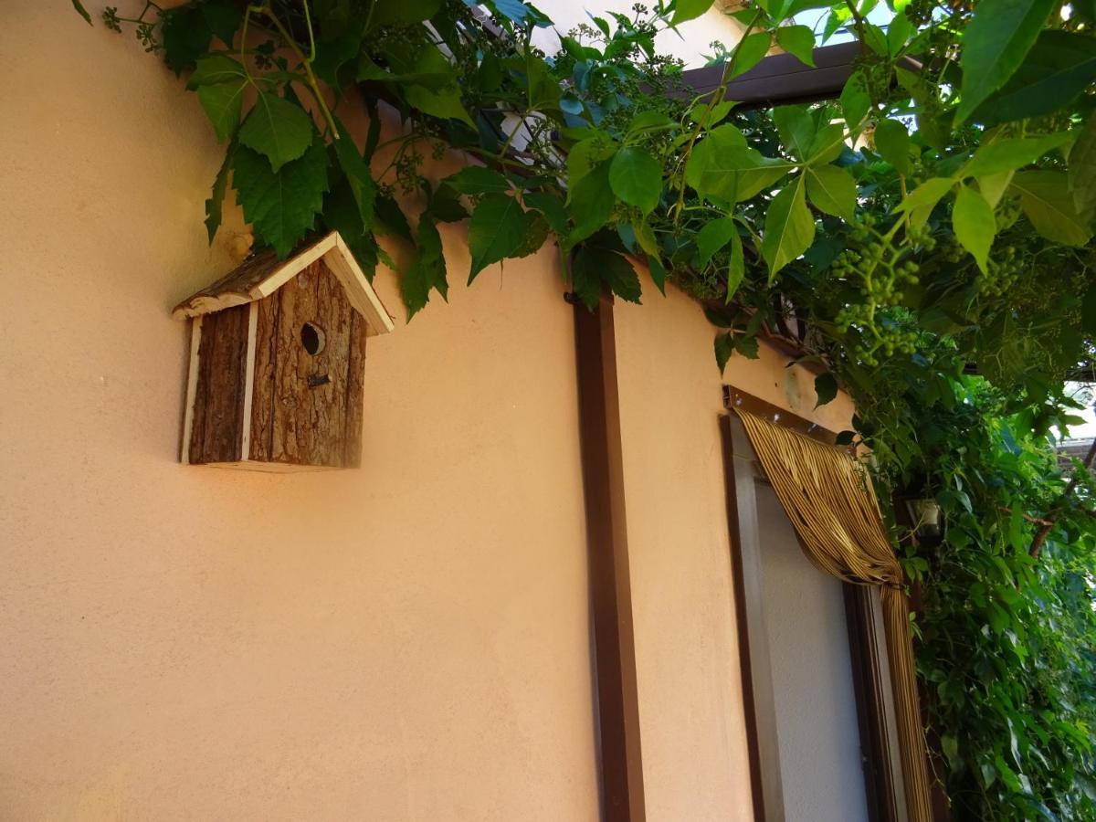 La Muntanya - Apartamentos Rural Guadalest Бенімантель Екстер'єр фото